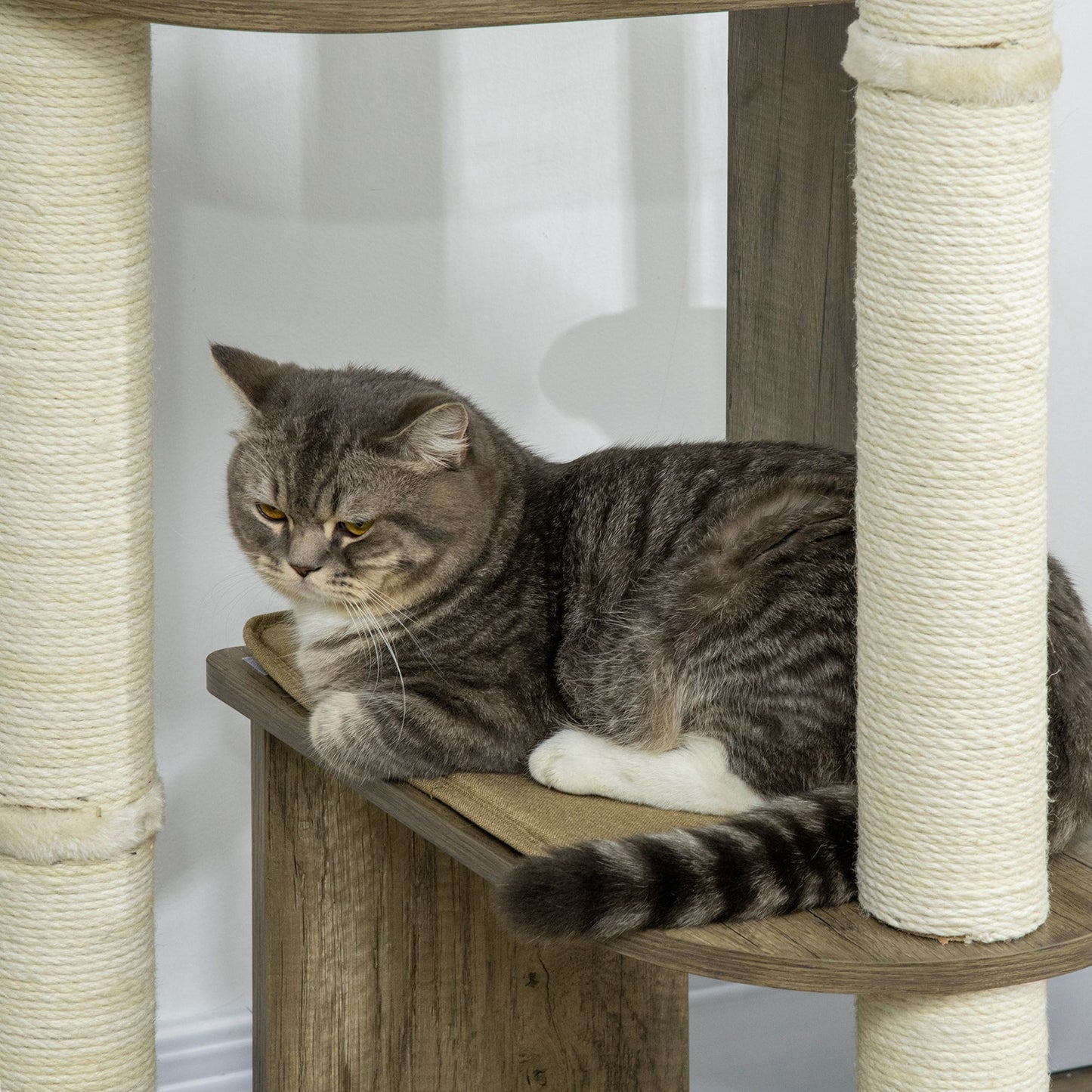 65-Inch Modern Corner Cat Tree Tower with Scratching Posts for Indoor Cats - Cream White