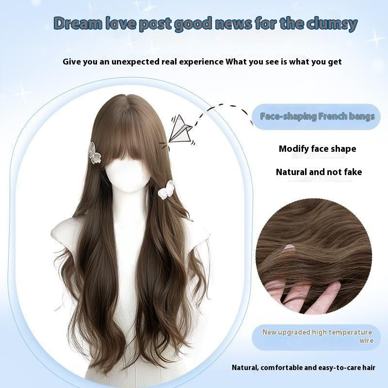 Long Curly Synthetic Wig for Women - Gray Brown Hair with Care Set