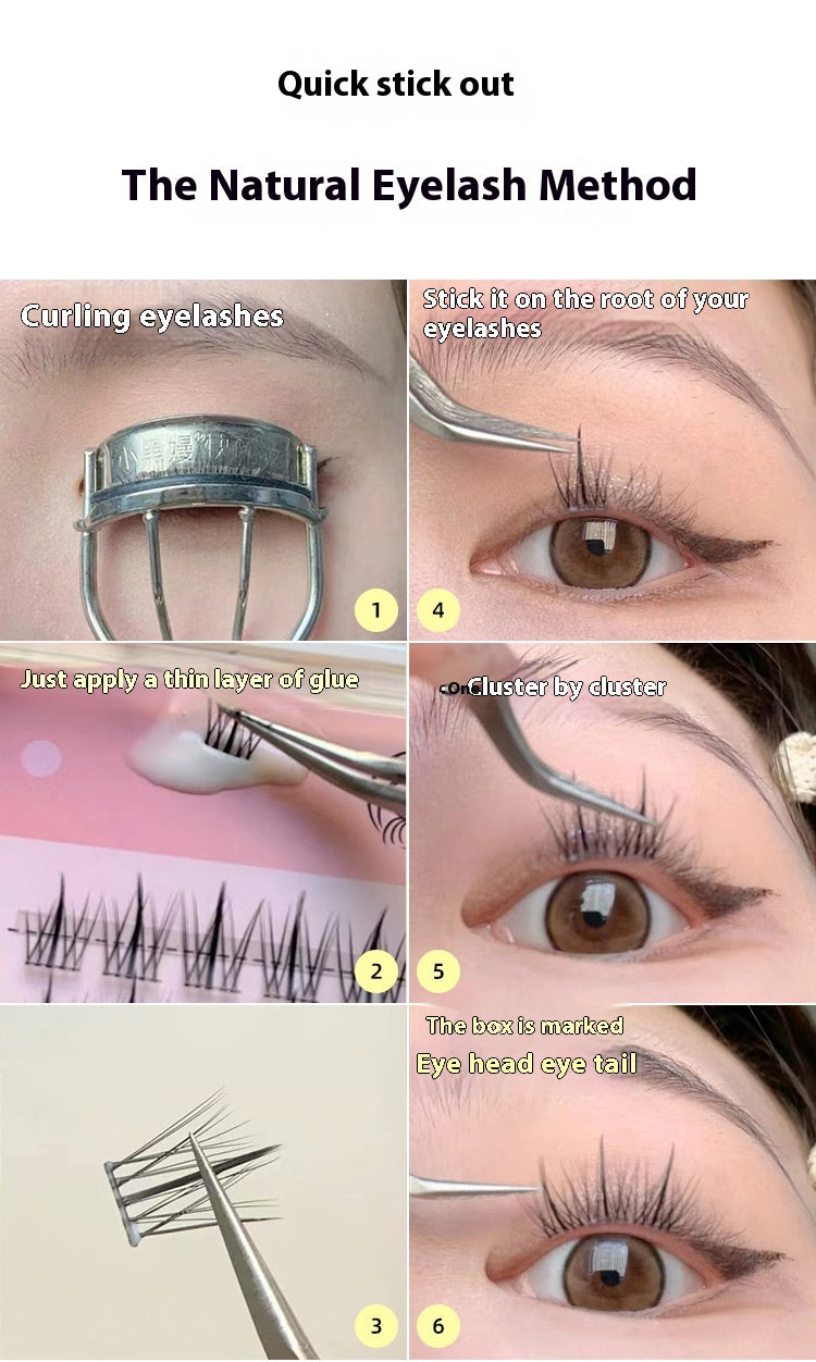 False Eyelashes Caramel Guppy 6 Rows Natural Long Style for Eye Makeup