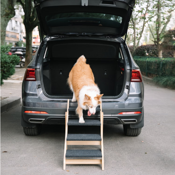 Foldable Wooden Pet Stairs & Ramps for Dogs & Cats - Acacia Wood, 4 Levels