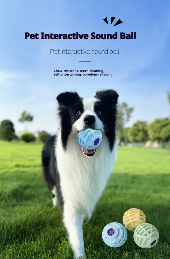 Interactive Sound Ball for Pets - Plush Squeaky Dog and Cat Toys
