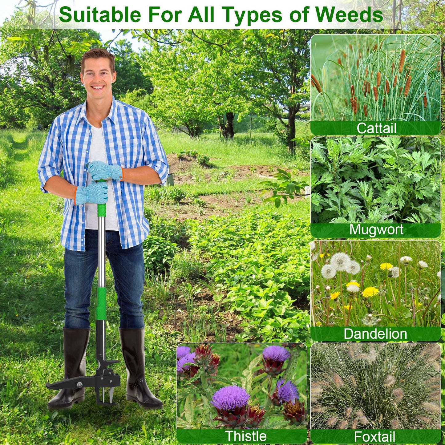 Standing Weed Puller Tool with 4 Claws - Garden Lawn Yard Weeder, Green
