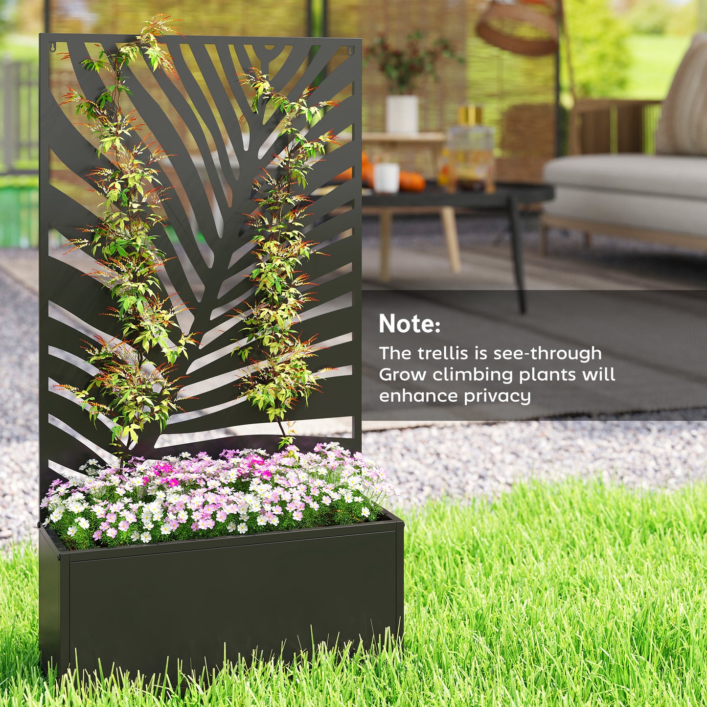Metal Garden Bed with Trellis for Climbing Plants - Freestanding or Wall Mountable, 990x700x75 mm, Black