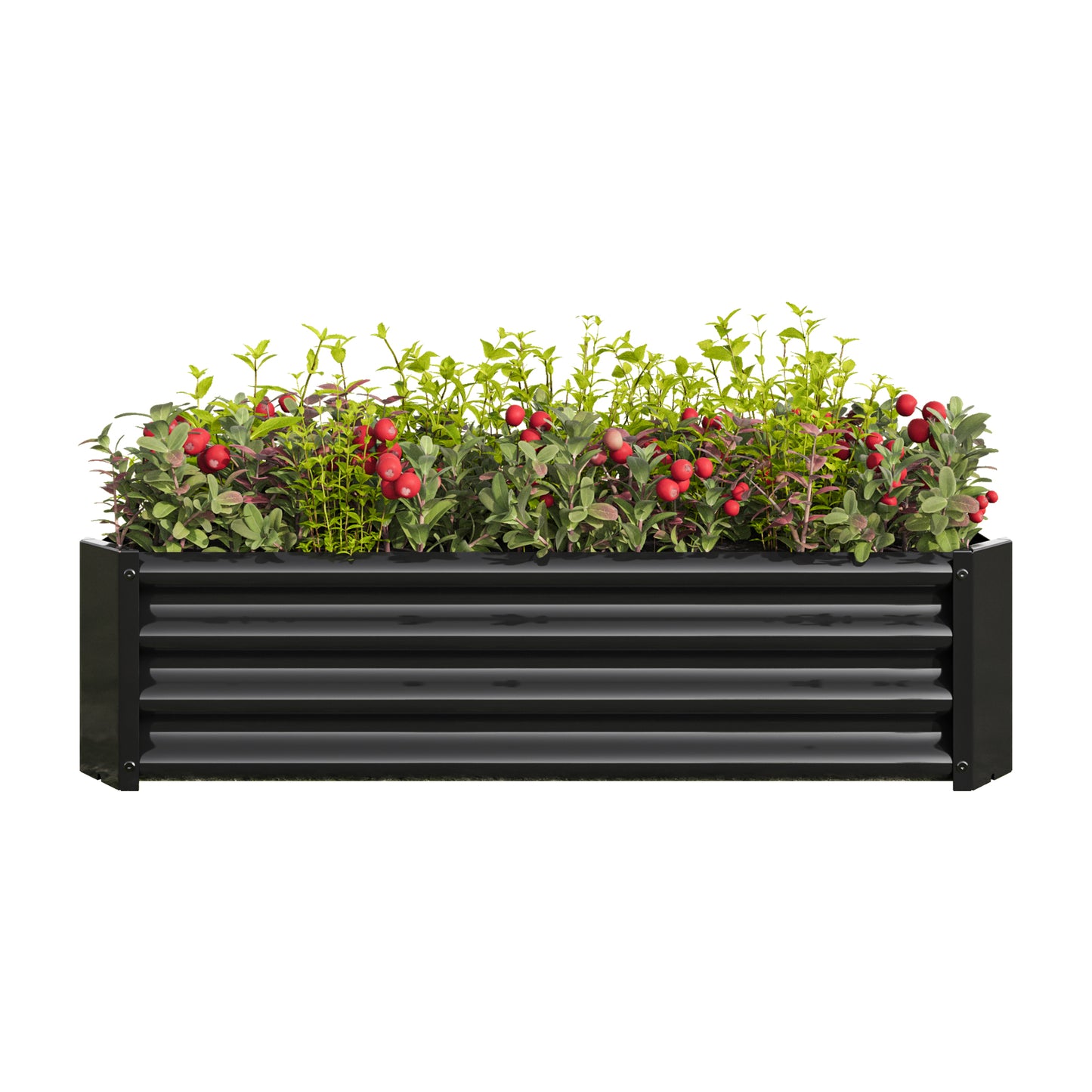 Metal Raised Garden Bed - 4'x2'x1' Rectangle Planter for Flowers, Vegetables, Herbs - Black
