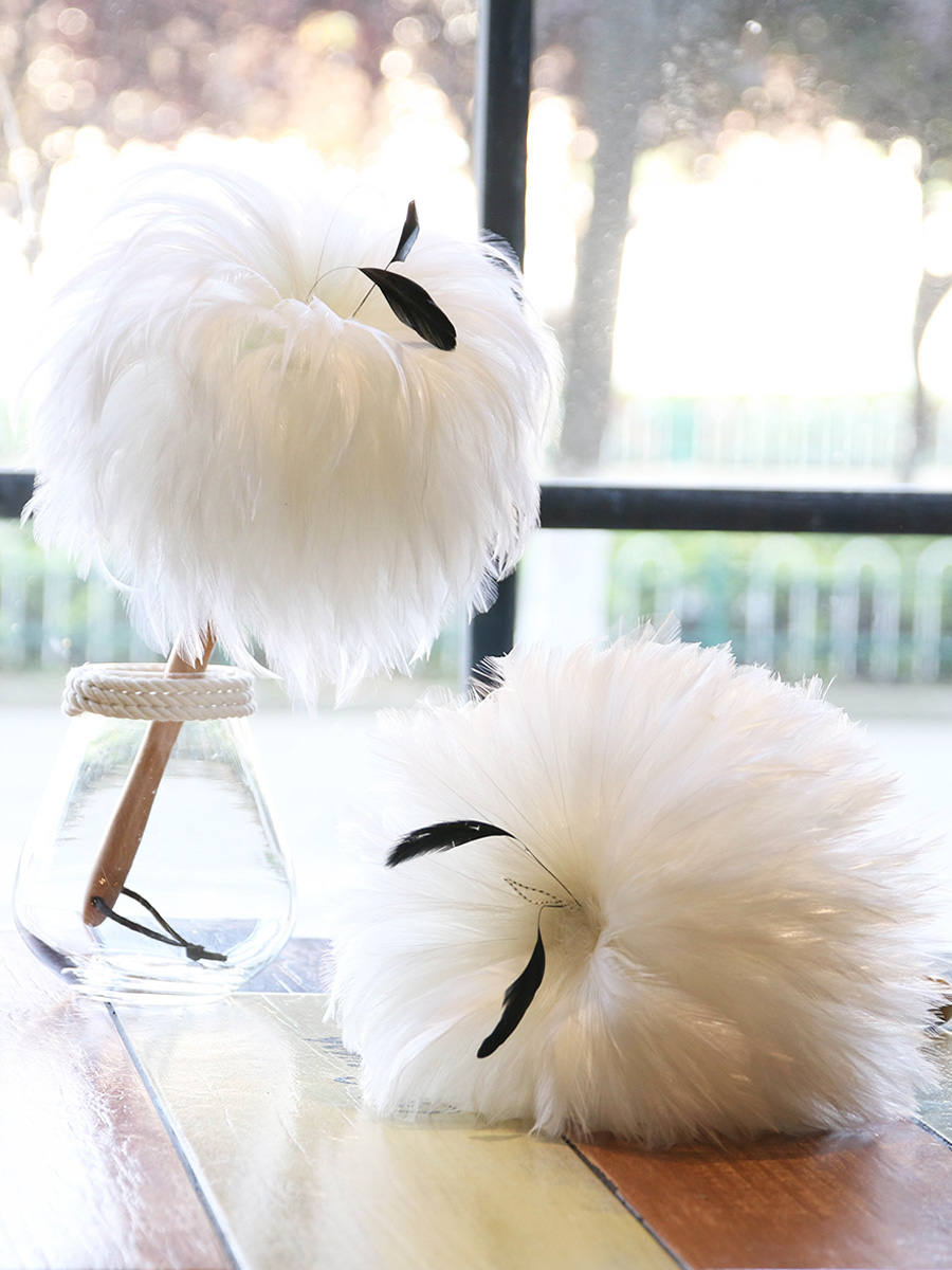 Feather Duster Household Cleaning Brush White Beech Handle Japanese Style