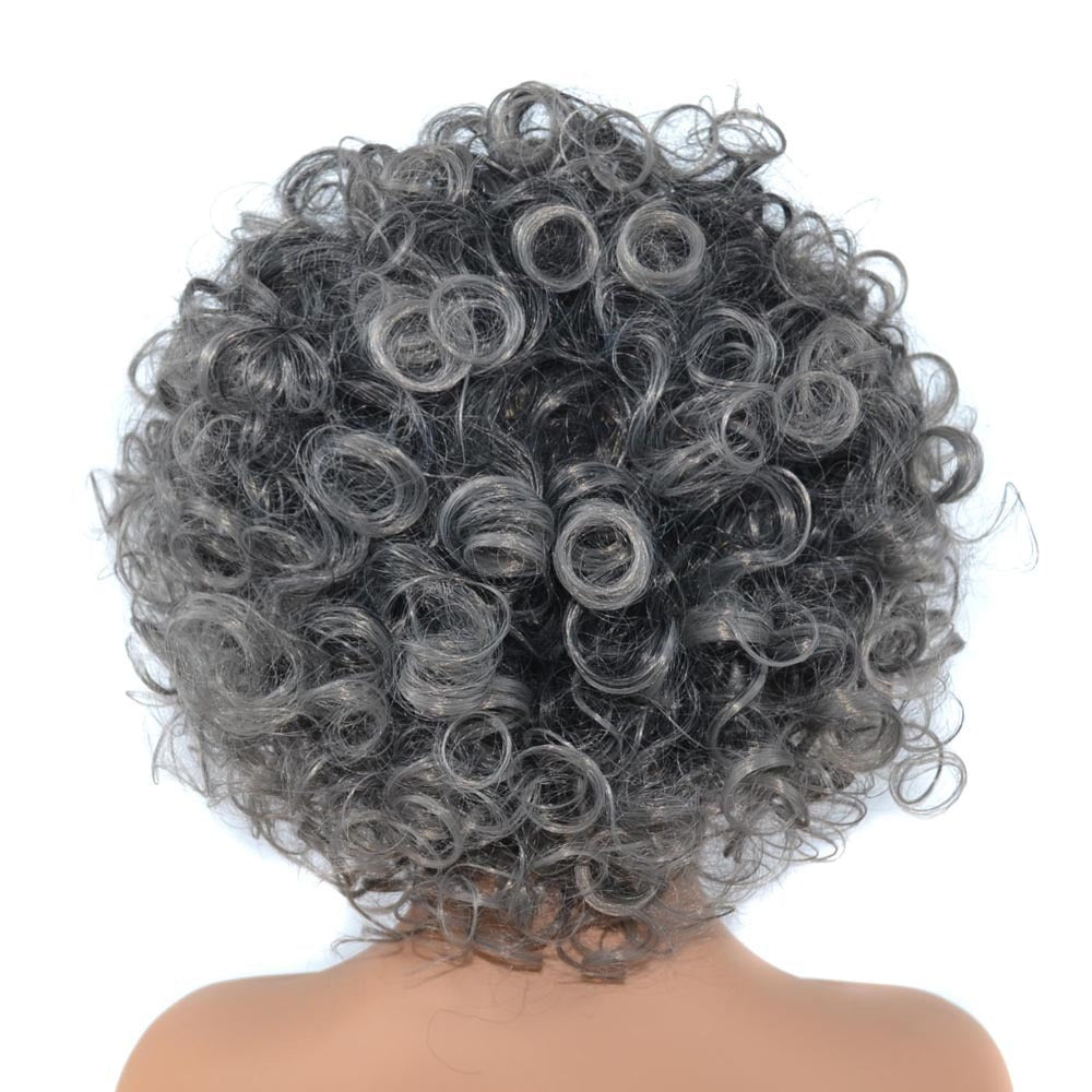 Black Gradient Grey Synthetic Wig for Women - High-Temperature Fiber, Ethnic Style, 30cm