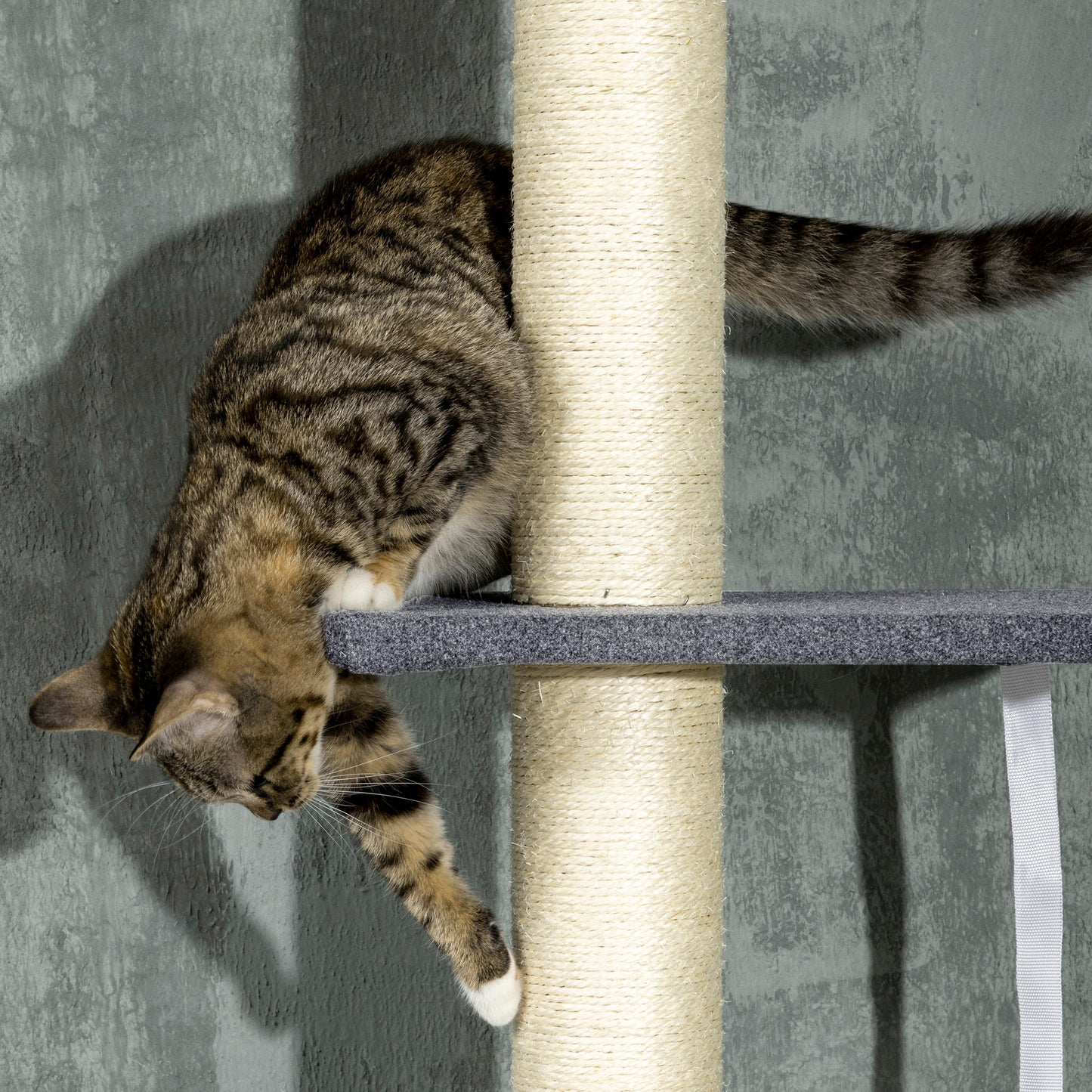 Adjustable 5-Tier Cat Tree with Cozy Bed, Hammock & Scratching Posts - Dark Gray & Cream