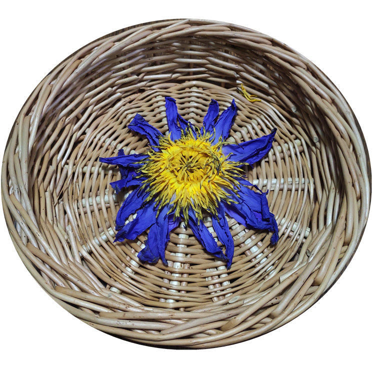 Blue Lotus Dried Flowers for Home Decor - Natural Fragrance & Rich Selection