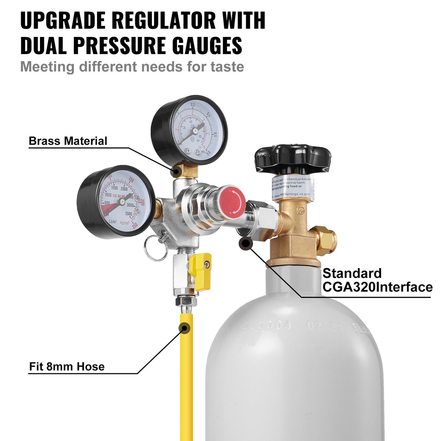 CO2 Regulator with Adjustable Pressure 0-60 PSI - Heavy Duty