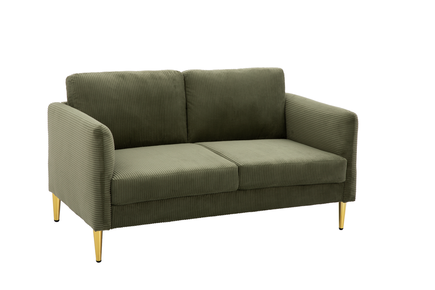 60.63 Wide Modern Corduroy Loveseat, Plush Upholstered Cushions,