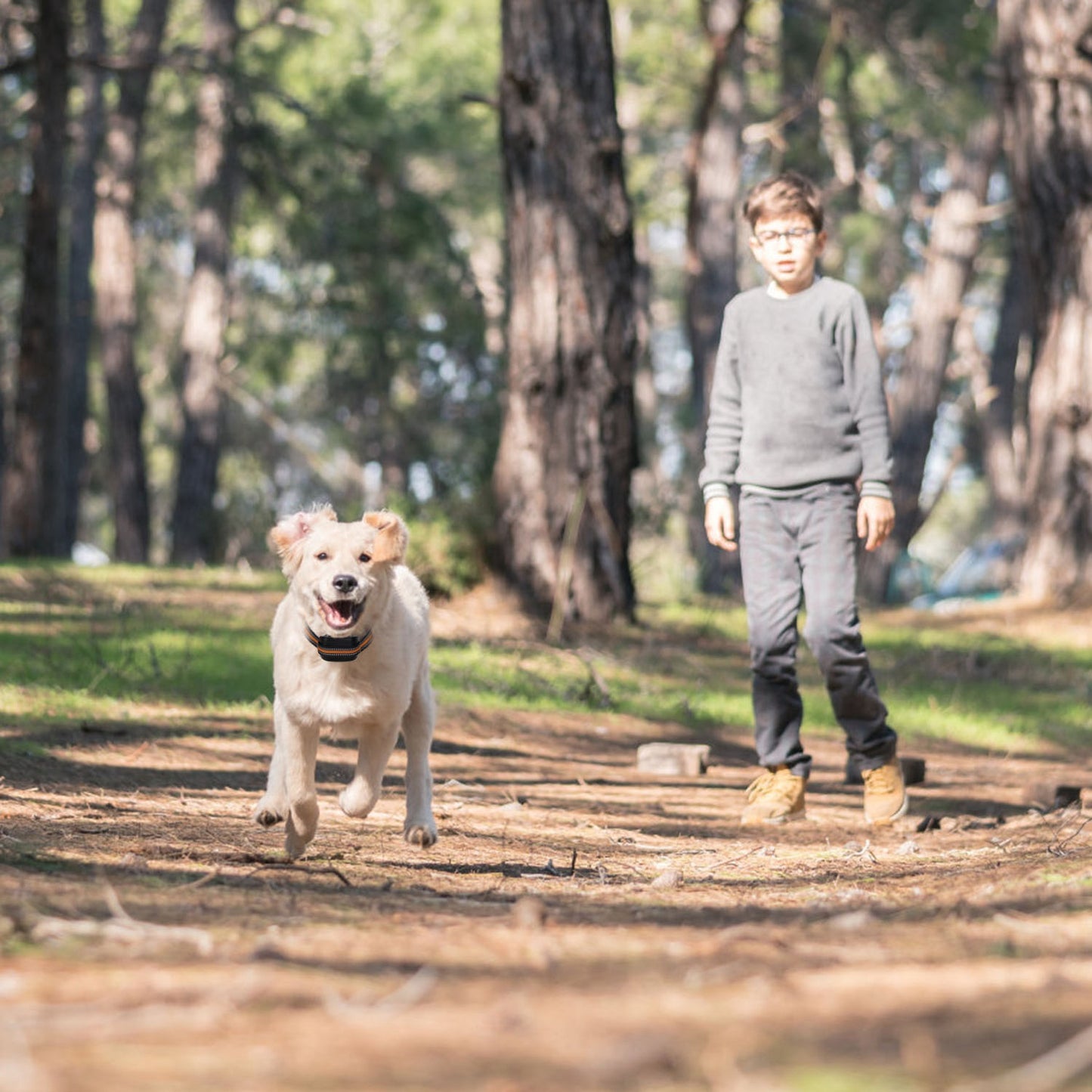 Wireless GPS Dog Fence Collar - Virtual Boundary, Waterproof, Up to 2887ft Radius
