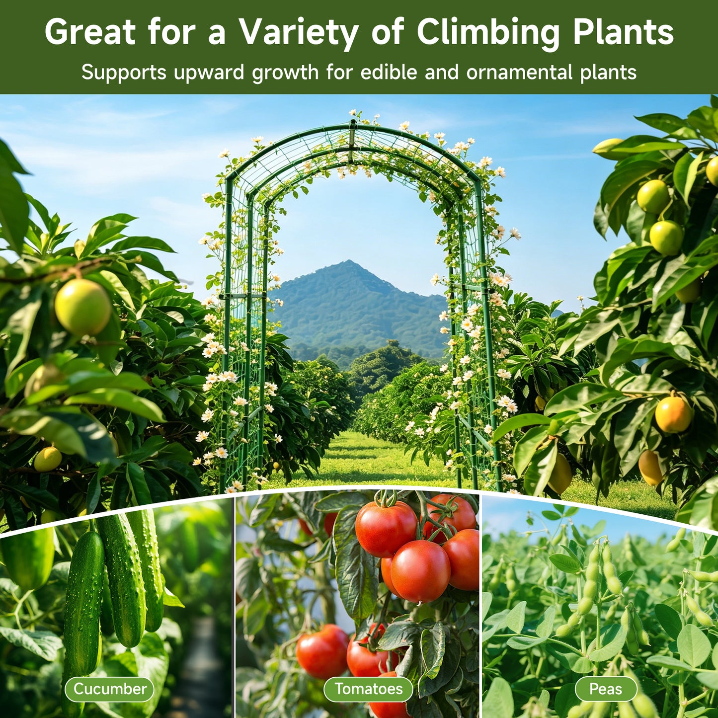 Heavy Duty Metal Garden Arch Trellis - Adjustable Climbing Support