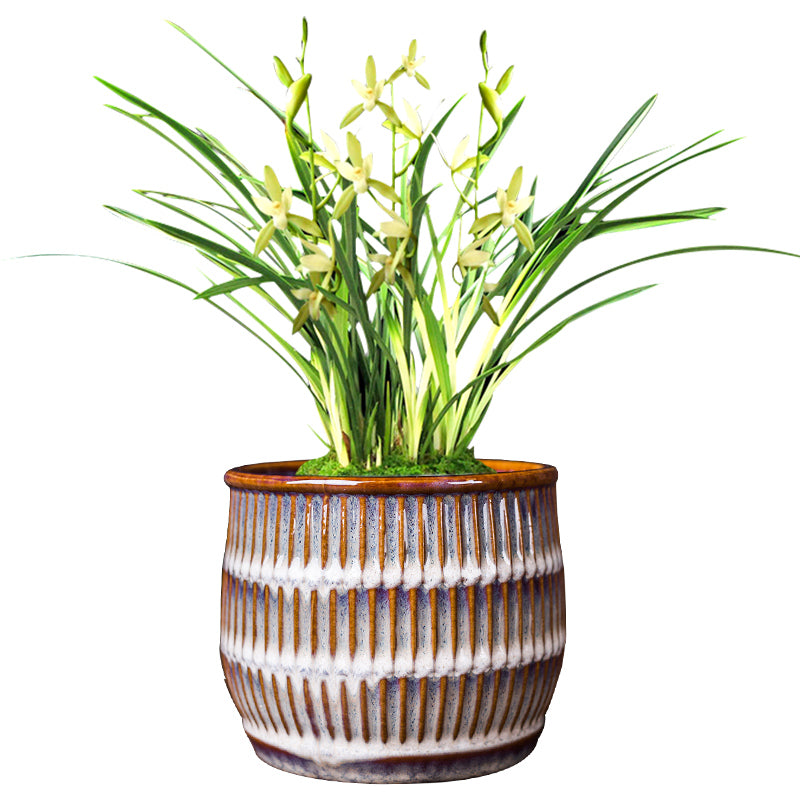 Ceramic Cylindrical Bonsai Pot for Orchids and Green Plants - Chinese Style