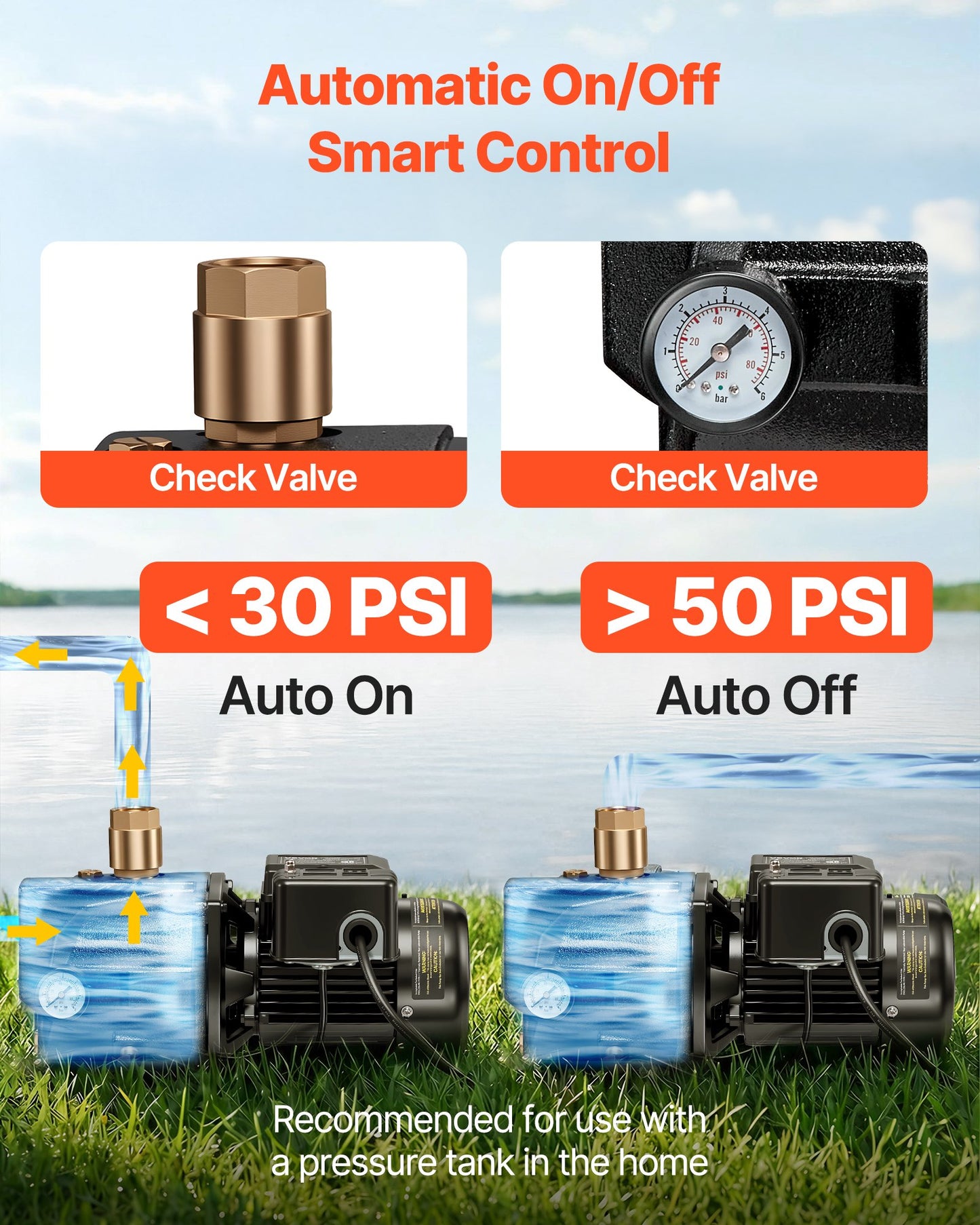 1/2 HP Shallow Well Jet Pump for Garden Irrigation - 115/230V, 790 GPH, Cast Iron
