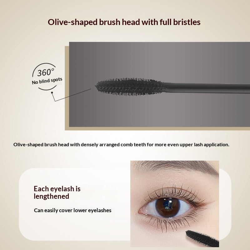 Waterproof Voluminous False Eyelashes - Curling & Lengthening Mascara, Natural Curl, Quick-Drying