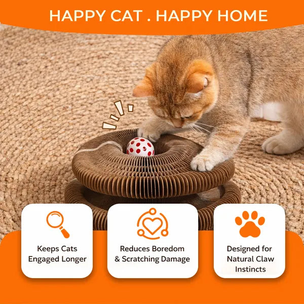 Foldable Cat Scratcher Toy with Ball - Interactive Kitty Play & Rest Bed