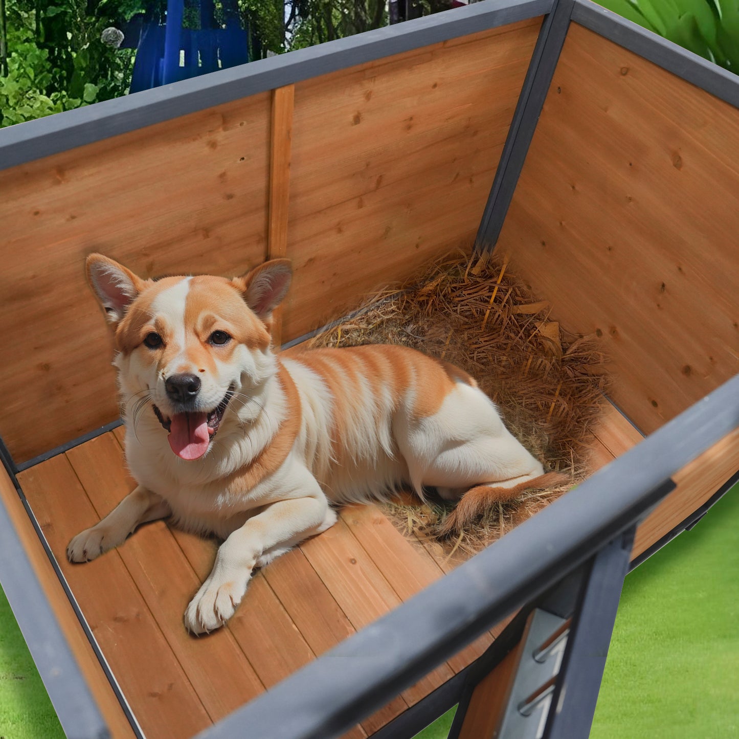 Large Solid Wood Dog House with Waterproof PVC Roof & Breathable Wooden Doors - Gray+Yellow