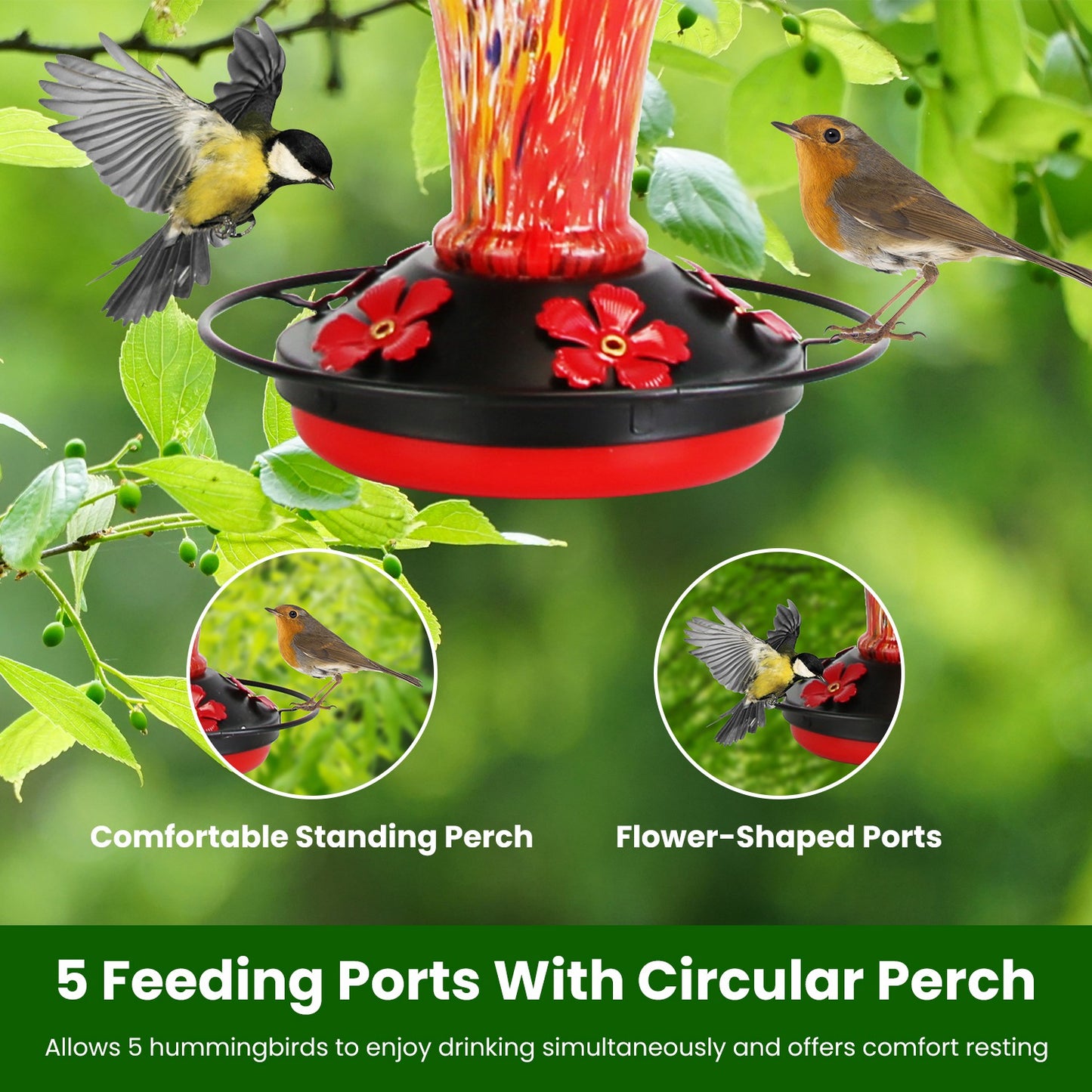 Glass Hummingbird Feeder 33OZ with 5 Flower Feeding Ports & Ant Moat - Garden Decor