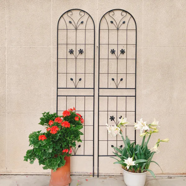 Metal Garden Trellis for Climbing Plants - 86.7" x 19.7" - Black