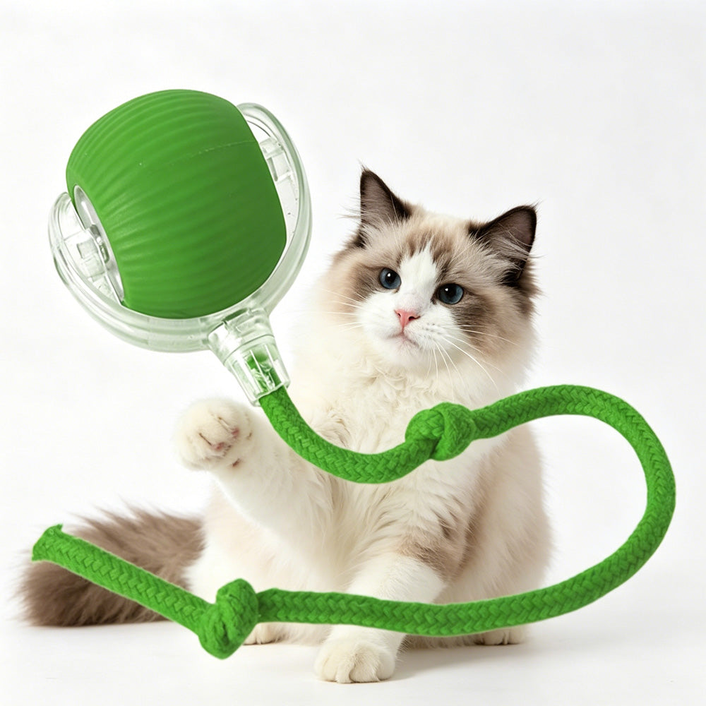 Interactive Electric Pet Ball Toy for Cats and Dogs - Indoor & Outdoor Play