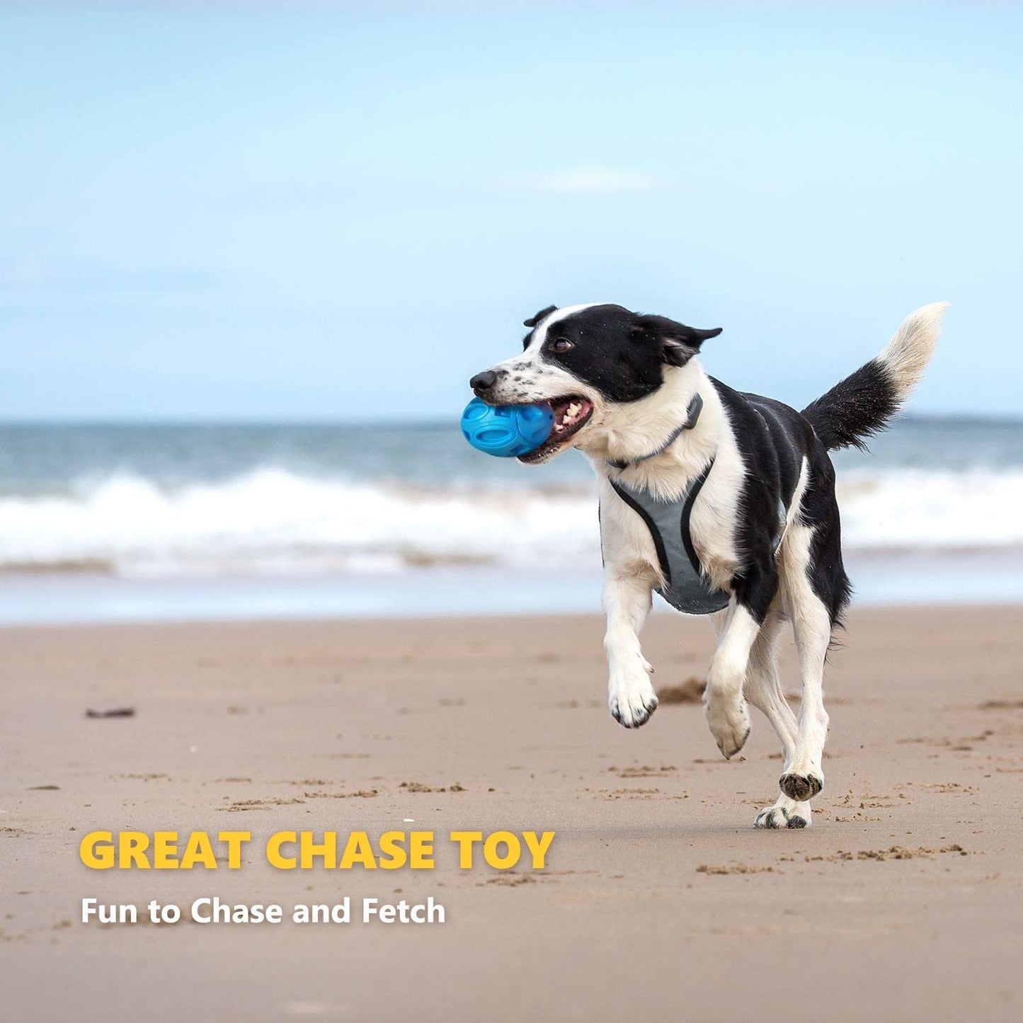 Durable Rubber Dog Toy with Squeaker - Interactive Bite-Resistant Fetch Ball