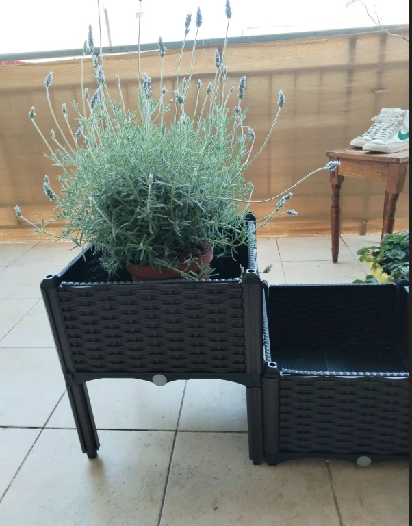 Self-Watering Raised Garden Bed with Legs - Brown Planter Box