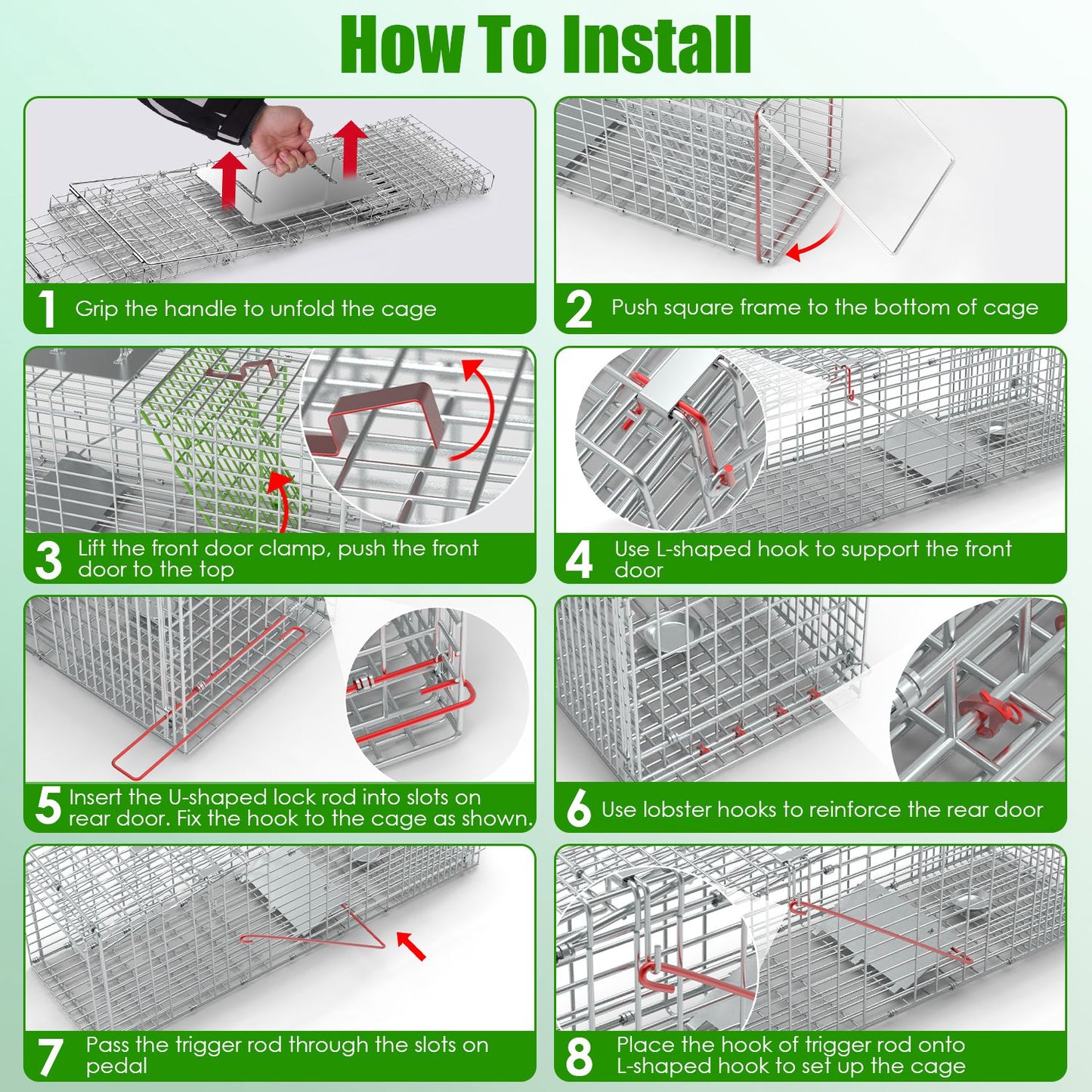 Humane Cat Trap Cage for Raccoons, Beavers & Groundhogs - Collapsible