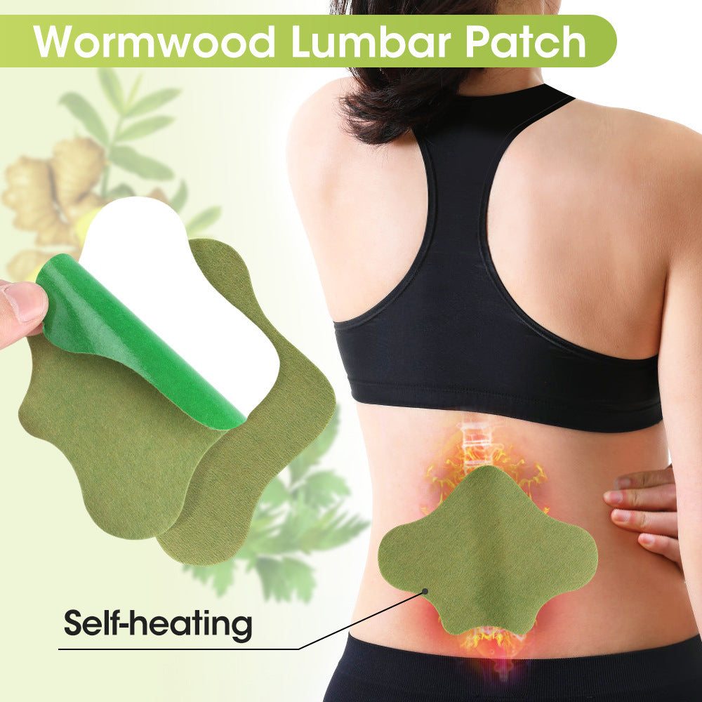 Herbal Knee, Lumbar, Cervical & Foot Patch Set for Pain Relief - 12 Patches