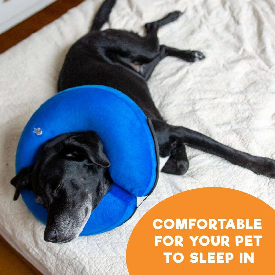 Large Blue Dog Cone Collar Post-Surgery Protective E-Collar