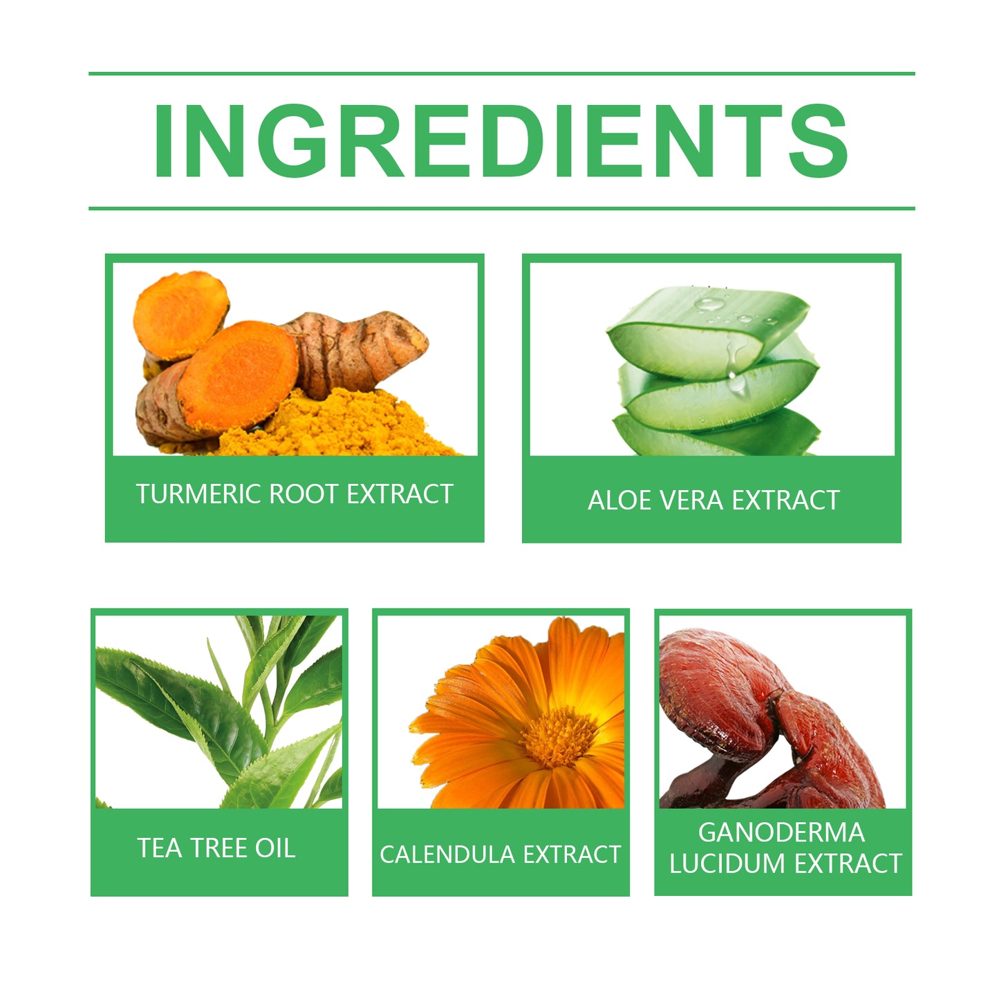 Pet Acne & Bumps Skin Cream for Dogs & Cats - Soothing Skin Relief with Calendula & Ganoderma Extract - Set of 1 Box