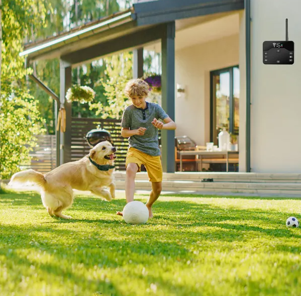 Wireless Waterproof Dog Fence & Training Collar for Small to Large Dogs
