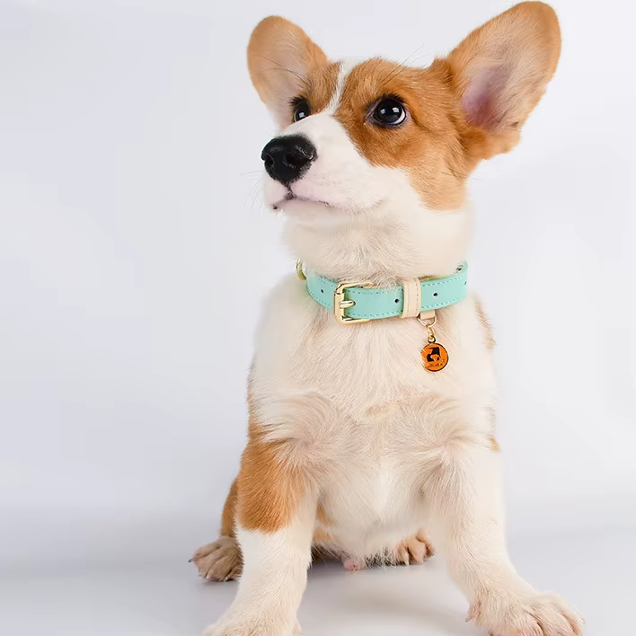 Adjustable Leather Dog Collar - Lightweight & Durable Pet Accessory for Small, Medium & Large Dogs