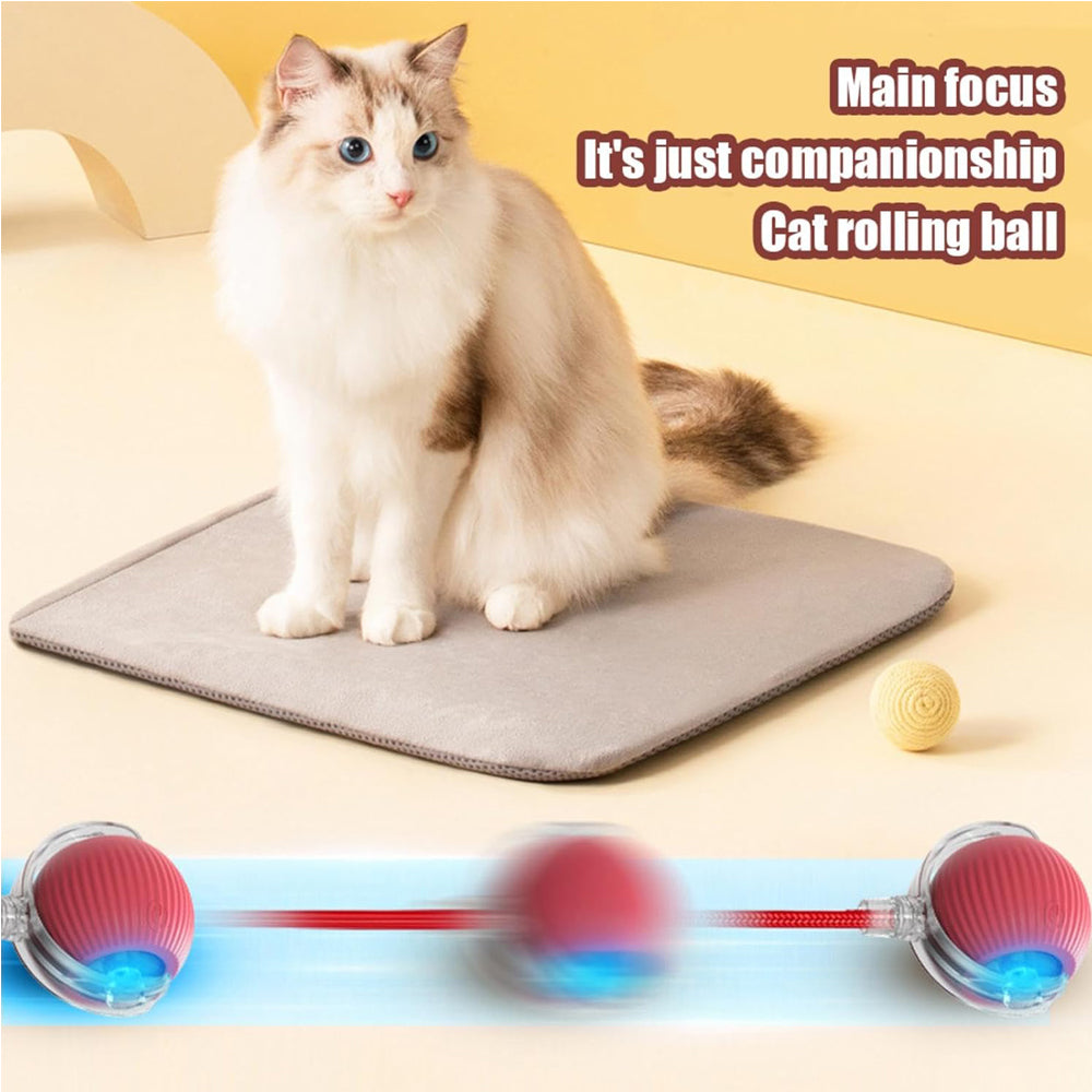 Interactive Electric Pet Ball Toy for Cats and Dogs - Indoor/Outdoor Rolling Playset