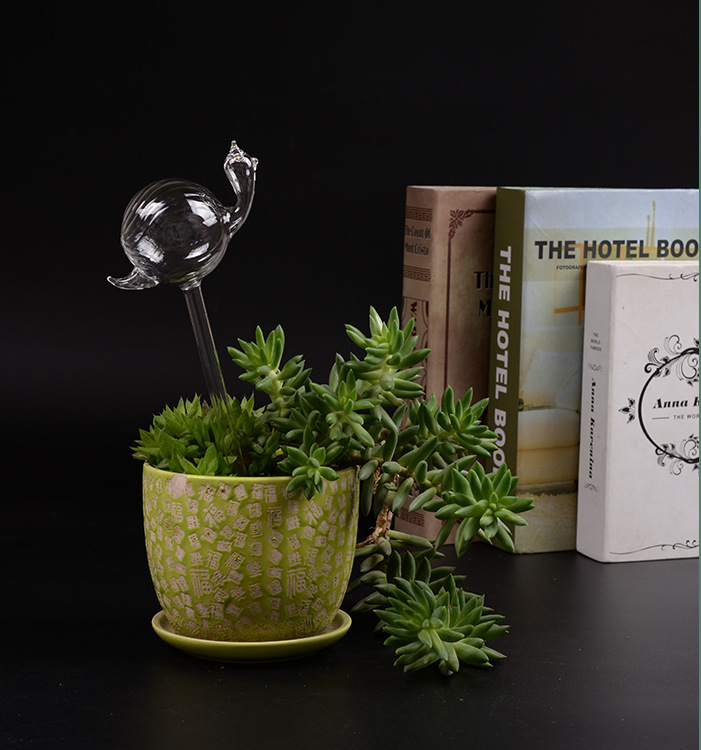 Love Heart Watering Device for Indoor Bonsai and Greenery - Customizable Glass Decor