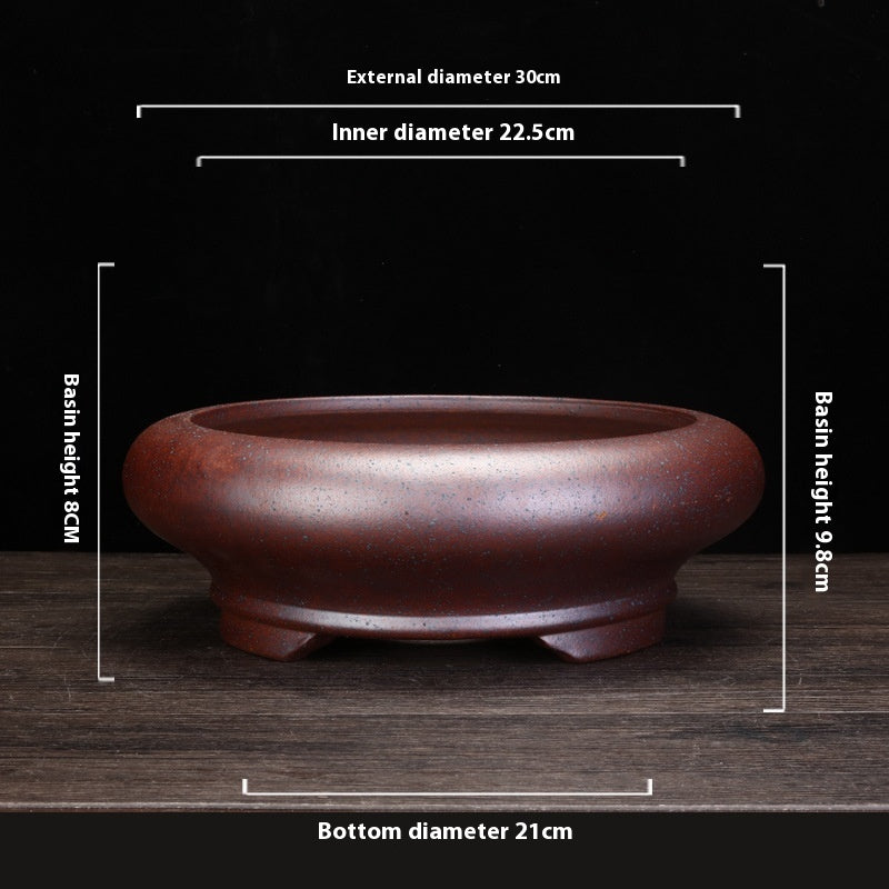 Indoor Decorative Porcelain Plant Pot with Purple Sand for Home & Office