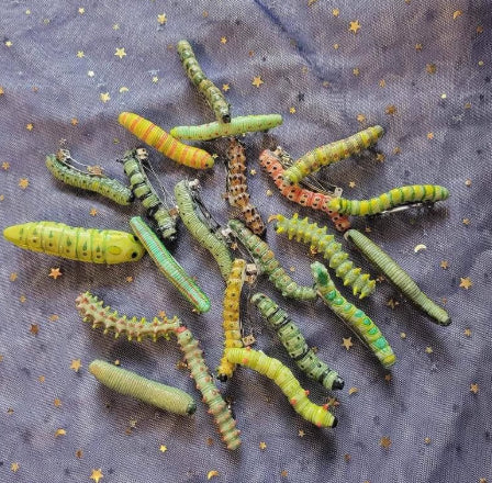 Caterpillar Hair Clip Set - 12 Pieces