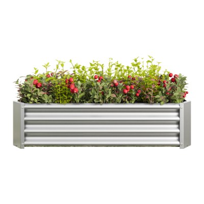 Metal Raised Garden Bed 4x2x1ft for Flowers Vegetables Herbs Outdoor Planter