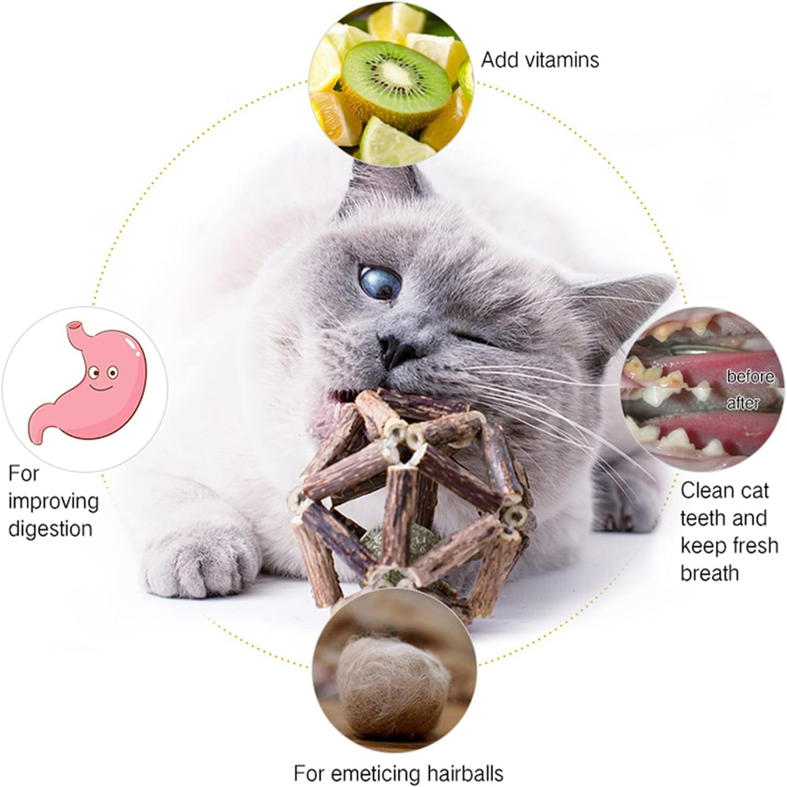 Natural Silvervine Catnip Stick & Ball Chew Toys for Dental & Mood Health