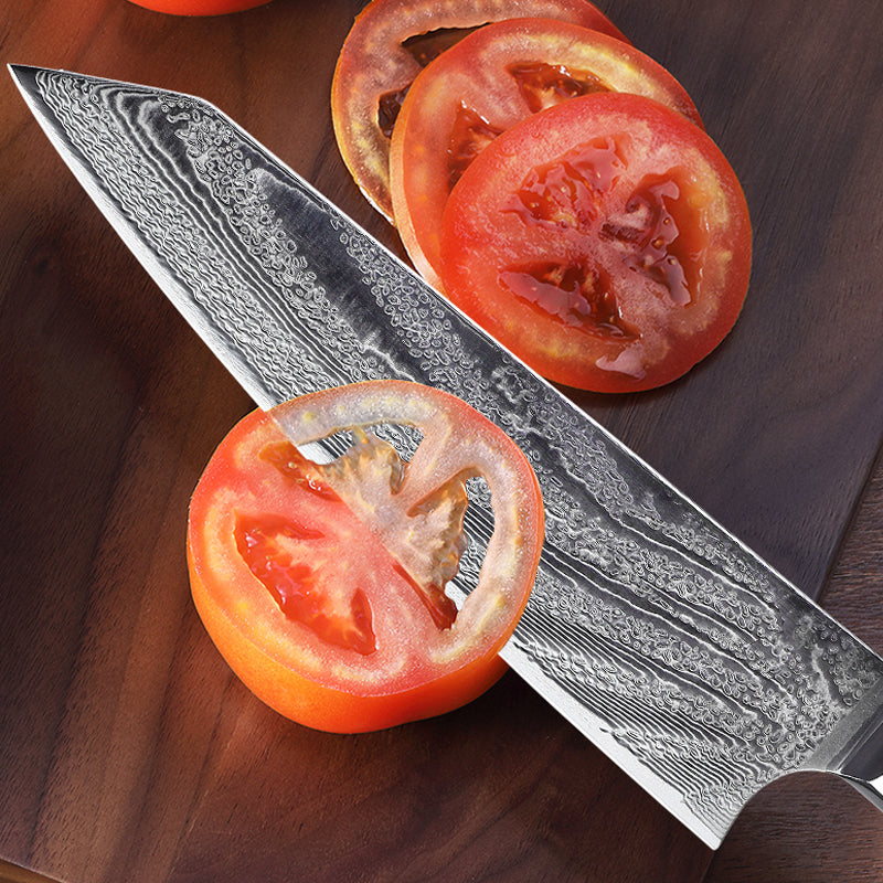 Japanese Imported Damascus Steel Kitchen Slicing Knife for Meat Cutting - Silver