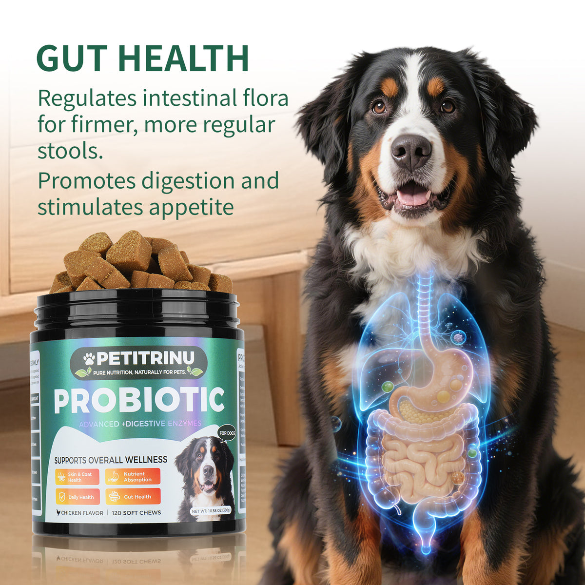 Probiotics for Dogs - Pet Digestive Supplements, 60 Capsules