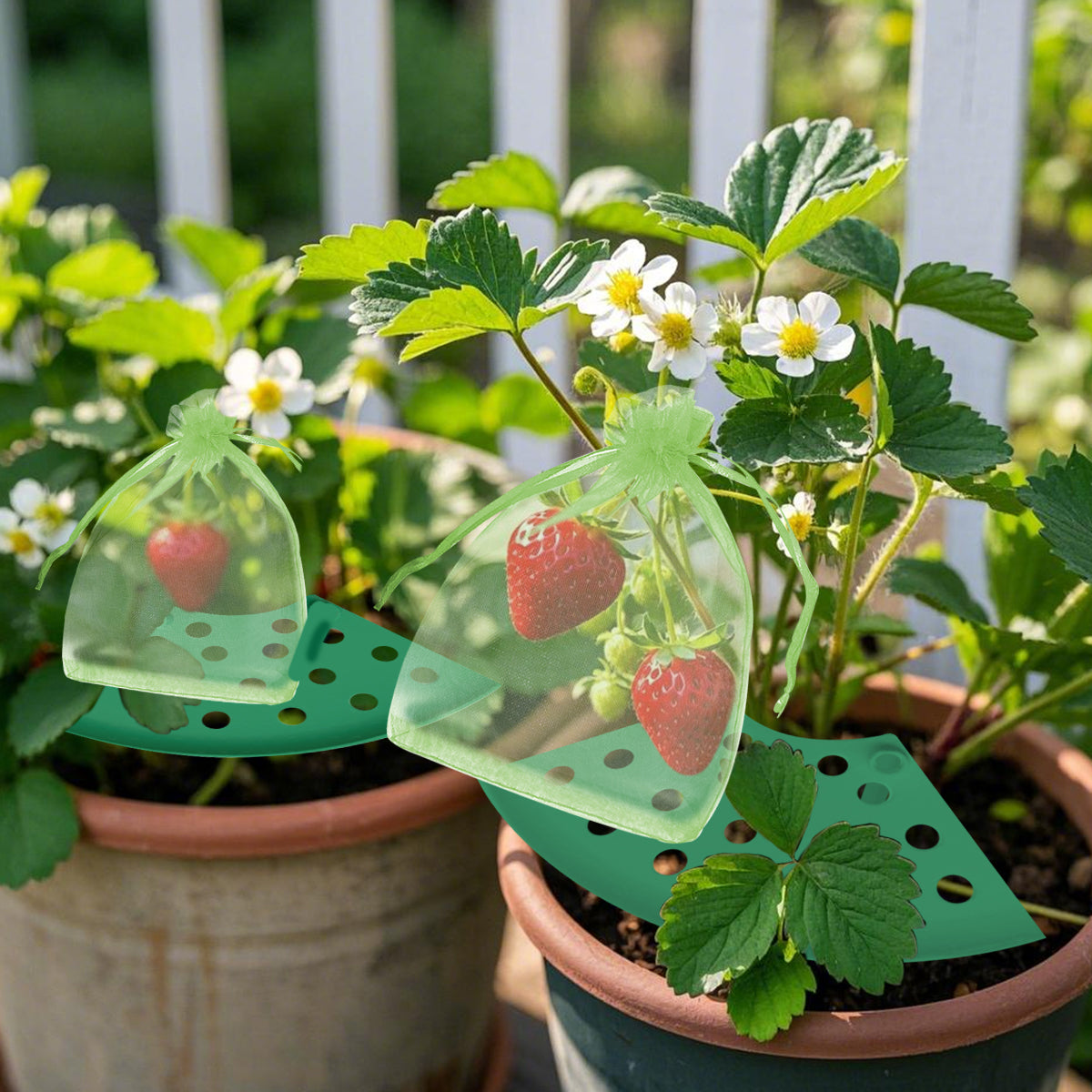 8 Pack Strawberry Plant Supports with Bags Garden Supports Green