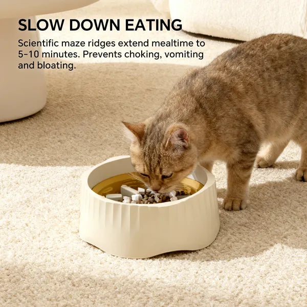 Dual-Purpose Slow Food & Fast Food Pet Bowl Set for Cats and Small Dogs