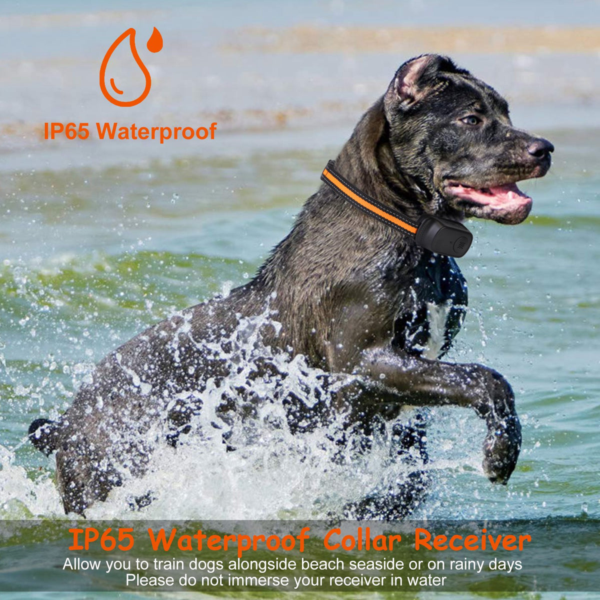 Dog Training Collar Waterproof Shock Vibration Beep Remote 984FT Range