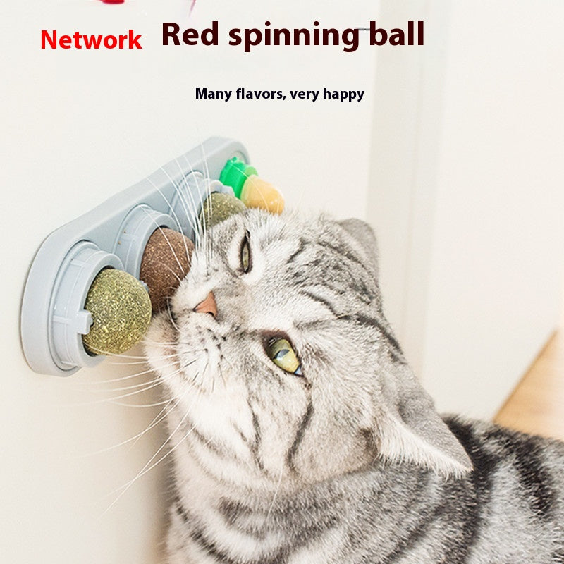 4-in-1 Rotating Catnip and Silver Vine Chew Toy Wall Mount for Cats