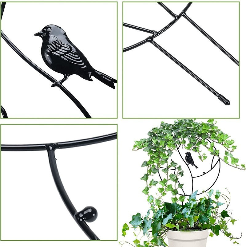 Metal Plant Support Frame for Climbing Vines & Flower Arrangements - Varieties Available