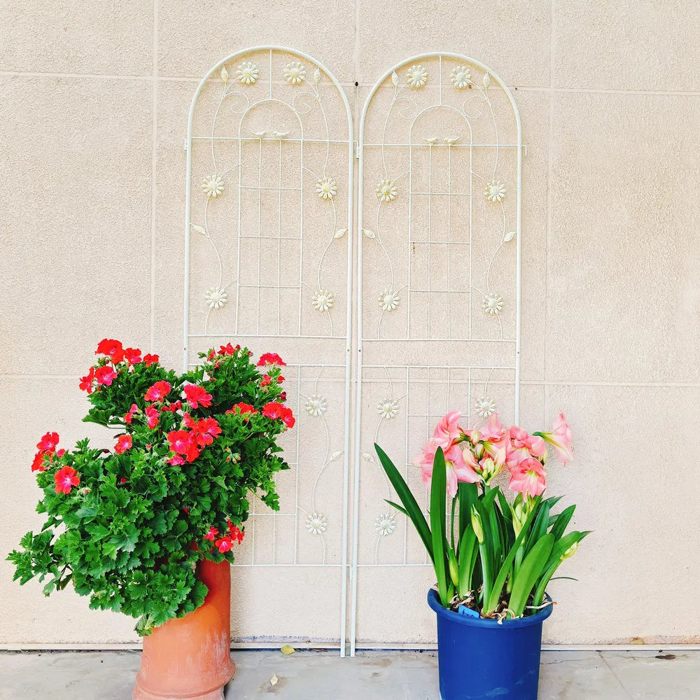 Metal Garden Trellis - 71" x 19.7" Rustproof Support for Climbing Plants