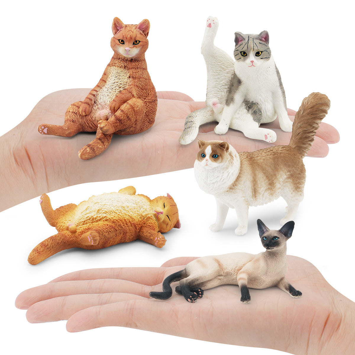 Children's Animal Model Figurines Set - Educational PVC Cat Figures for Kids & Decor