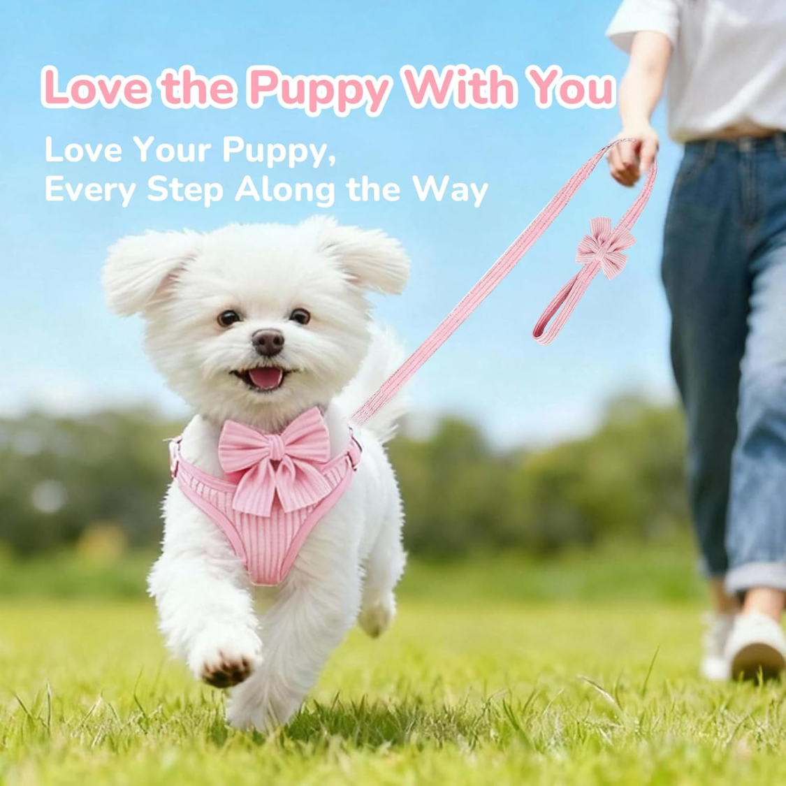 Small Dog Collar Harness and Leash Set Breathable Cotton Adjustable No Pull