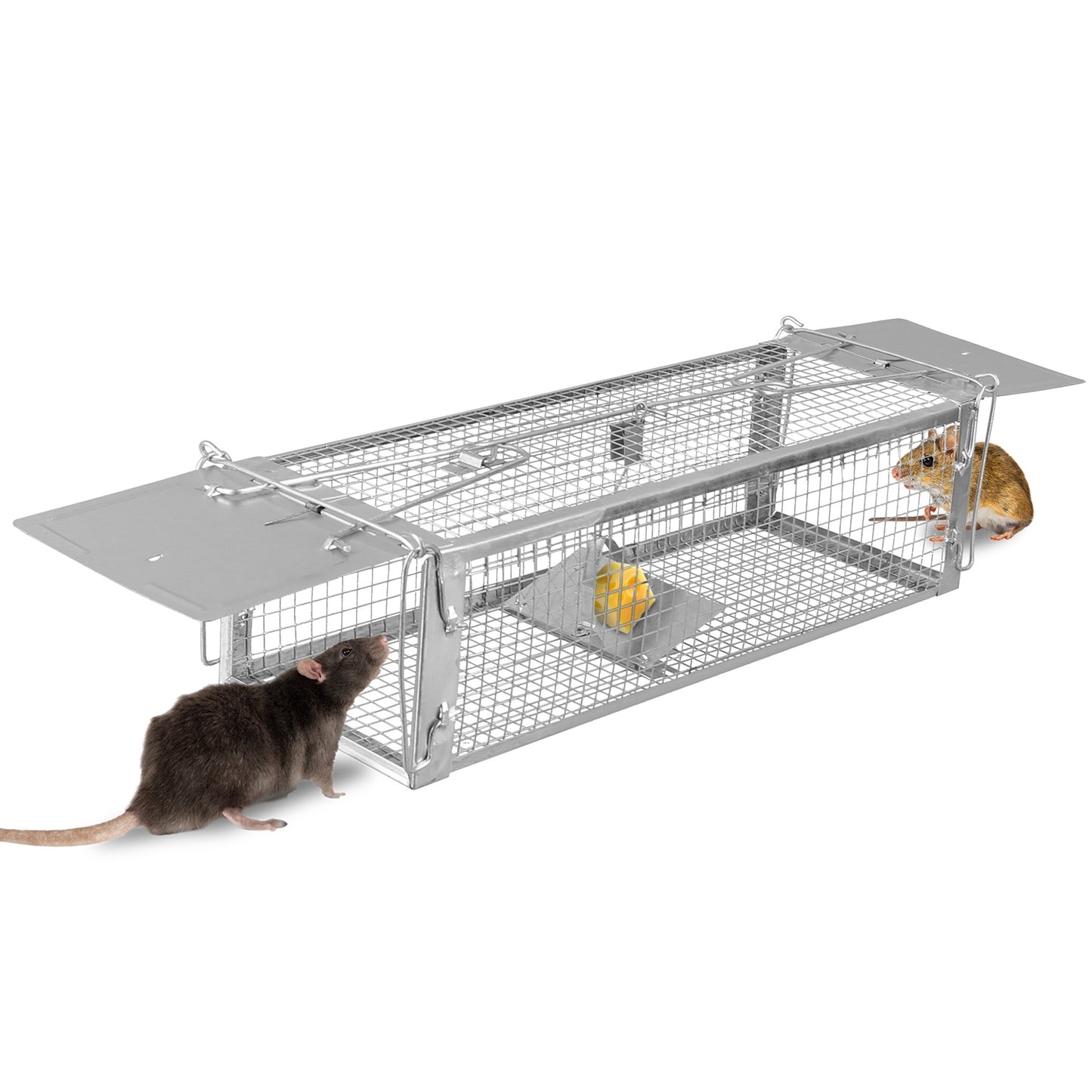 Humane Dual Door Rat Trap Cage - Zinc Electroplating, 14x11cm
