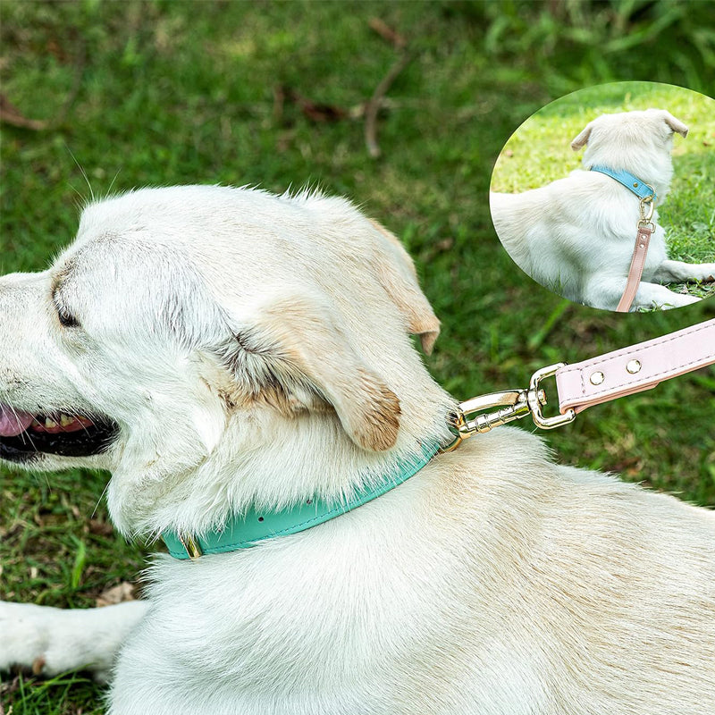 Adjustable Leather Dog Collar - Lightweight & Durable Pet Accessory for Small, Medium & Large Dogs